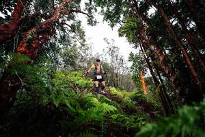 BIB: 
                            <button type="button" onclick="openModal(26202716)" class="btn btn-primary btn-sm float-right btn-popup" data-toggle="modal" data-target=".modal-high-quality">
                        <i class="fas fa-shopping-cart"></i> Add to Cart
                    </button>
                                            <button type="button" onclick="isThisMe(26202716, true)" class="btn btn-success btn-sm float-right btn-popup btn-isme hidden" data-toggle="tooltip" data-placement="bottom" title="นี่คือรูปของคุณใช่ไหม คลิกที่นี่เพื่อเอาเข้าอัลบั้ม">
                        <i class="fas fa-plus"></i> Add to album
                    </button>
                    <button type="button" onclick="isThisMe(26202716, false)" class="btn btn-warning btn-sm float-right btn-popup btn-isnotme hidden">
                        <i class="fas fa-ban"></i> Remove from album
                    </button>